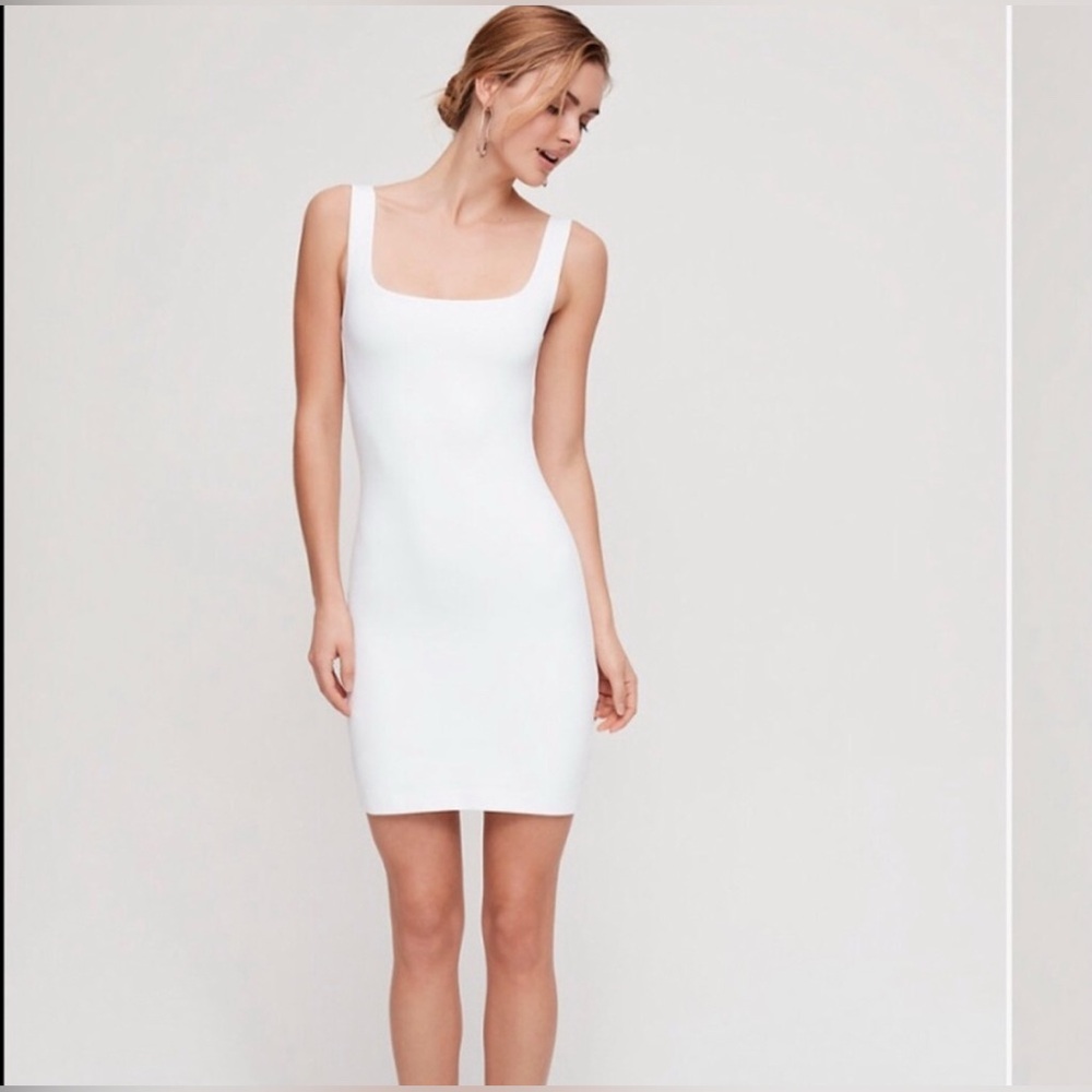 Babaton Contour Stretchy Mini Dress